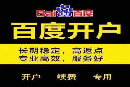 百度广告推广助力企业增长案例